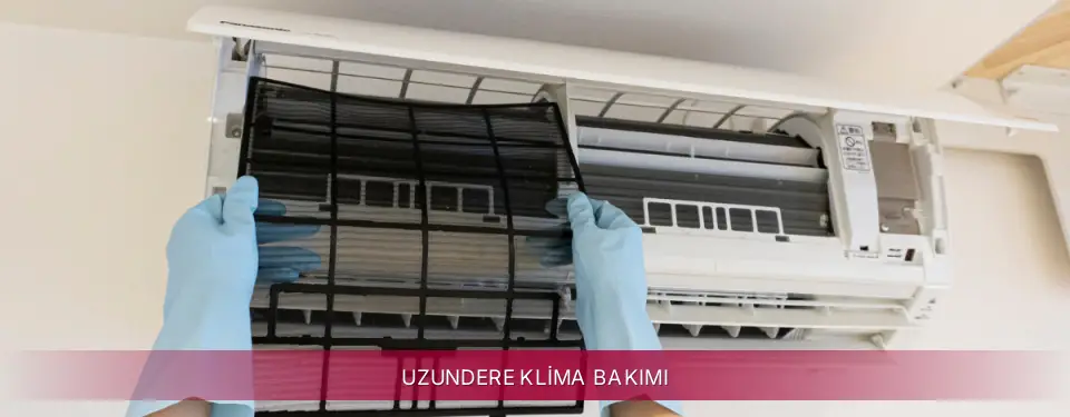 Uzundere İlçemi LG Klima Bakımı